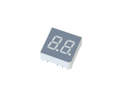 Dual Digit Display