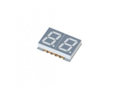 Dual Digit Display