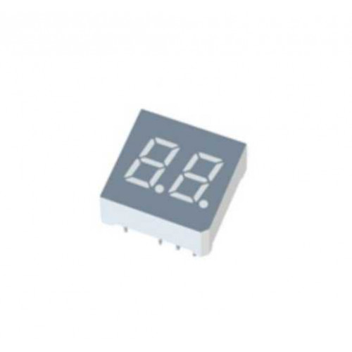 Dual Digit Display