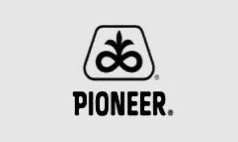 Pioneer